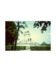 KONO Film Original Monsoon 36 negatyw 2