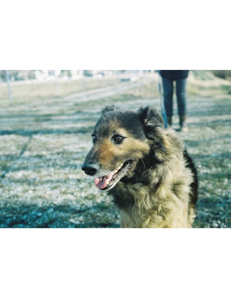 KONO Film Original Monsoon 36 negatyw