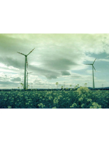 KONO Film Original Monsoon 36