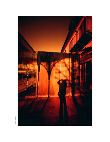 KONO Film Rotwild 2 kolorowy negatyw