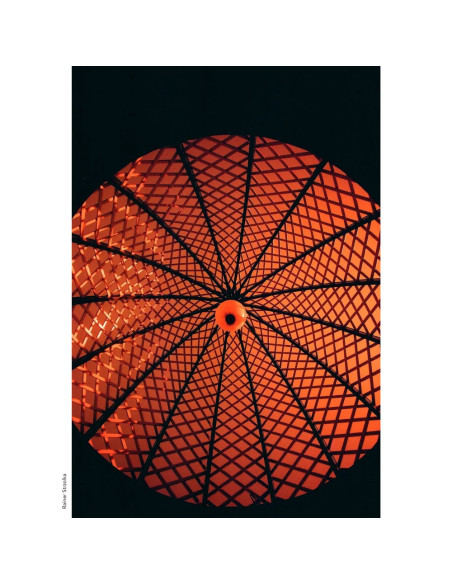 KONO Film Rotwild 2 kolorowy negatywow