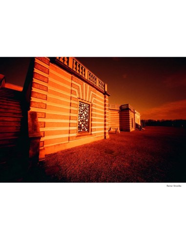 KONO Film Rotwild 2 kolorowy negatywow