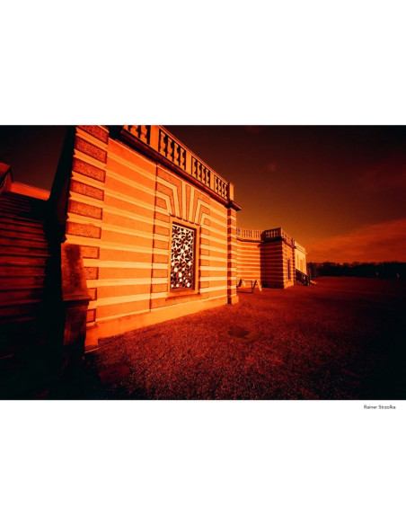 KONO Film Rotwild 2 kolorowy negatywow