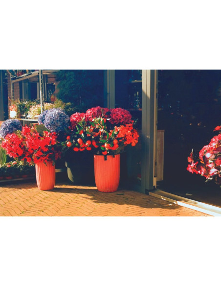 KONO Film Delight ART II 400 36 negatyw kolorowy 35mm