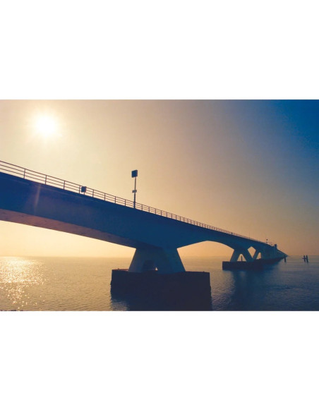 KONO Film Delight ART II 400 36 negatyw kolorowy 35mm