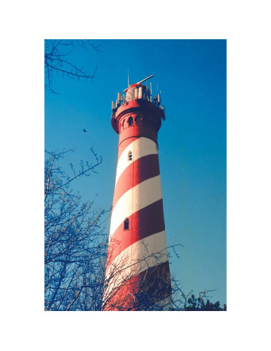 KONO Film Delight ART II 400 36 negatyw...