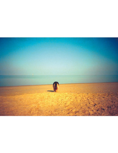 KONO Film Delight ART II 400 36 negatyw...