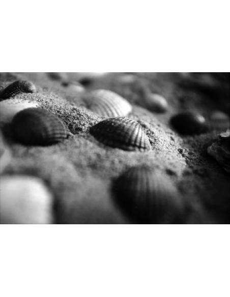 KONO Film Slow Black&White ISO 6 negatyw czarno-biały