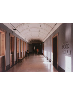 KONO Film Color 400 36 negatyw kolorowy 2 szt. 2