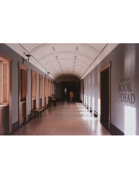 KONO Film Color 400 36 negatyw kolorowy 2 szt.