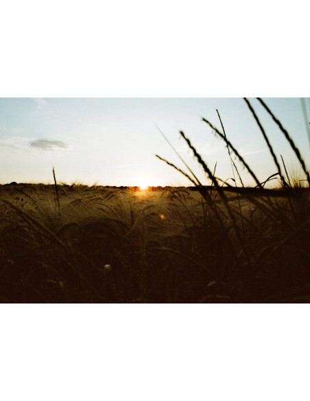 KONO Film Color 400 36 Pack of 2