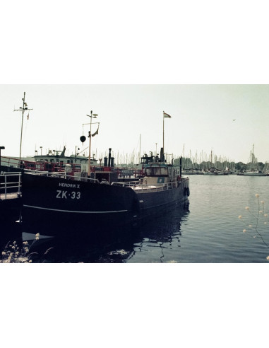 KONO Film Color 400 36 Pack of 2