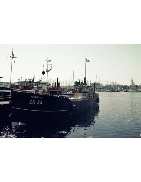 KONO Film Color 400 36 Pack of 2