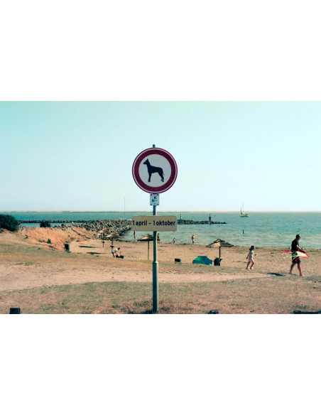 KONO Film Color 400 36 negatyw kolorowy 2 szt.