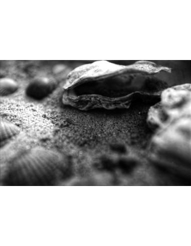 KONO Film Slow Black&White ISO 6 negatyw...