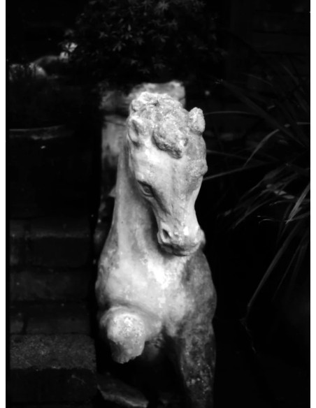 KONO Film Slow Black&White ISO 6 negatyw czarno-biały - 3-pak