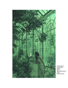 KONO Film Original Candy 36 negatyw kolorowy 35mm 2