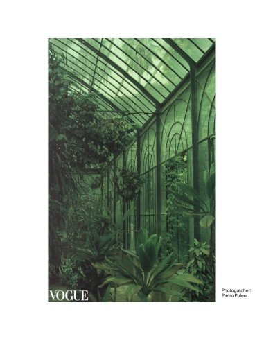 KONO Film Original Candy 36 negatyw kolorowy 35mm