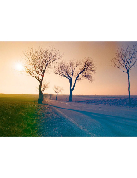 KONO Film Original Mirage 36