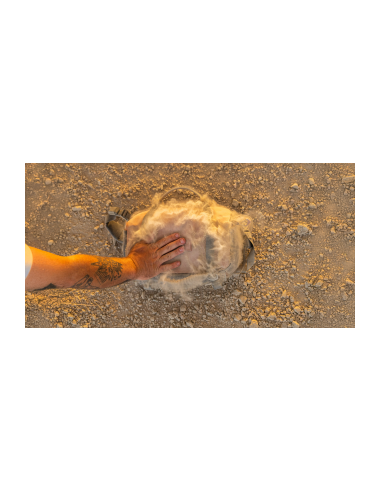 Torba fotograficzna Wandrd Rogue Sling 6 l v2 -...