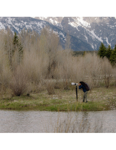 Statyw Peak Design Pro Tripod Tall Black -...