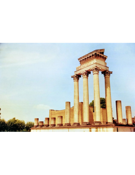 KONO Film Delight ART II 100 120