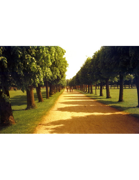 KONO Film Delight ART II 100 120