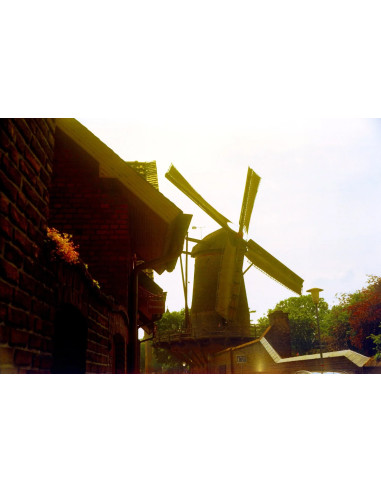 KONO Film Delight ART II 100 120