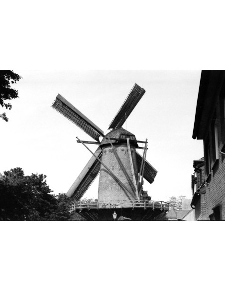 KONO Film Black&White 400 negatyw czarno-biały 35mm 2szt