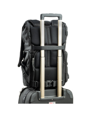 ThinkTank FocusPoint 30L RollTop Golden