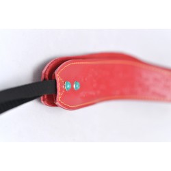 Pasek do aparatu SERIA 318 czerwony 2