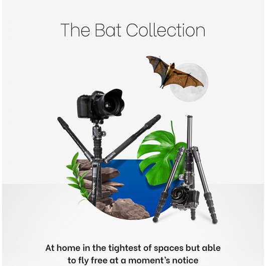 BENRO Bat 03C+VX20 statyw karbonowy z głowicą kulową