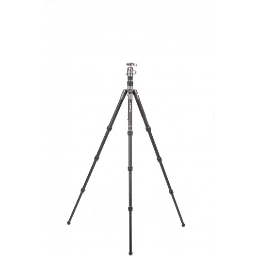 BENRO Bat 24C + VX25 statyw karbonowy z głowicą kulow