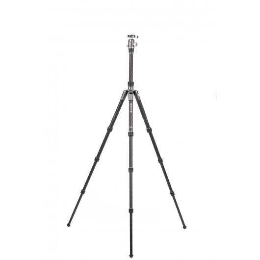 BENRO Bat 24C + VX25 statyw karbonowy z głowicą kulow