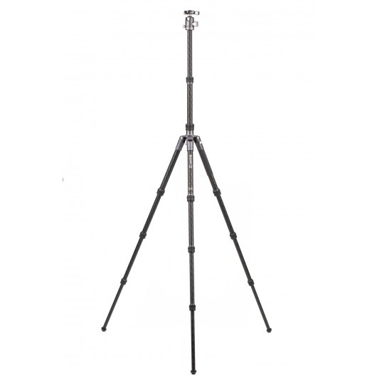 BENRO Bat 24C + VX25 statyw karbonowy z głowicą kulow