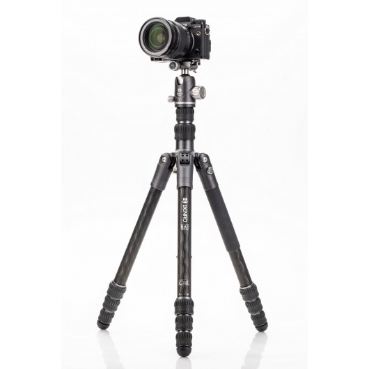 BENRO Bat 24C + VX25 statyw karbonowy z głowicą kulow