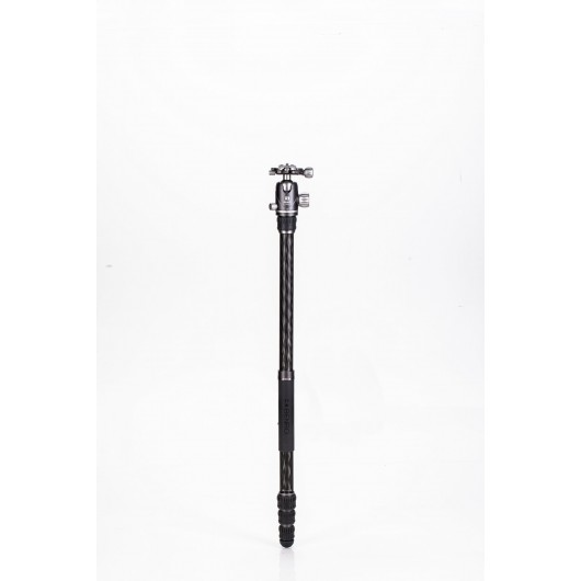 BENRO Bat 24C + VX25 statyw karbonowy z głowicą kulow