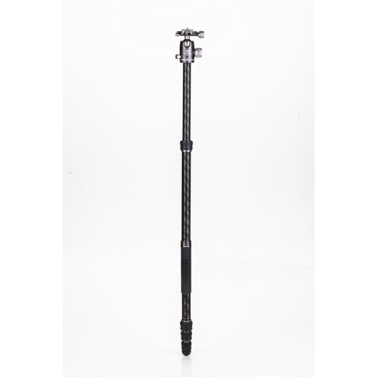 BENRO Bat 24C + VX25 statyw karbonowy z głowicą kulow