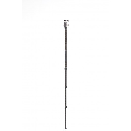 BENRO Bat 24C + VX25 statyw karbonowy z głowicą kulow