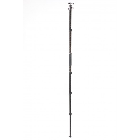 BENRO Bat 24C + VX25 statyw karbonowy z głowicą kulow