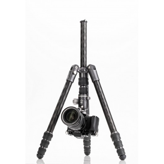 BENRO Bat 24C + VX25 statyw karbonowy z głowicą kulow