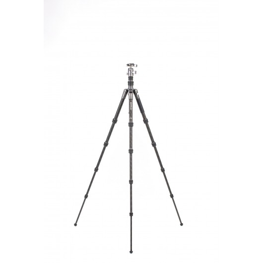 BENRO Bat 15C + VX20 statyw karbonowy z głowicą kulową