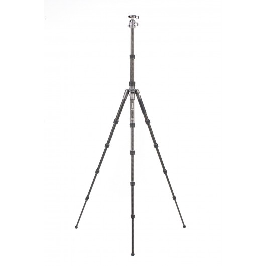 BENRO Bat 15C + VX20 statyw karbonowy z głowicą kulową