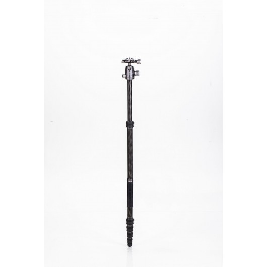 BENRO Bat 15C + VX20 statyw karbonowy z głowicą kulową