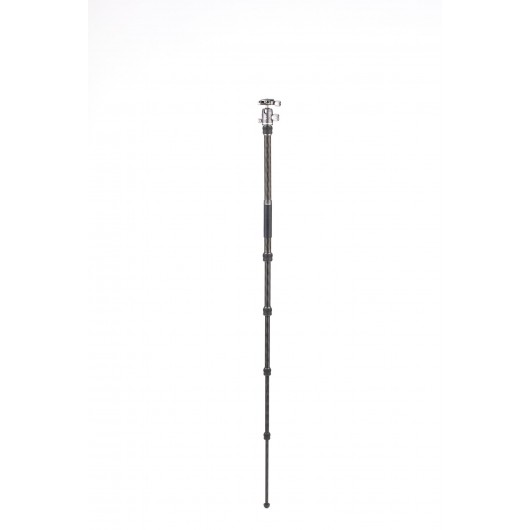 BENRO Bat 15C + VX20 statyw karbonowy z głowicą kulową