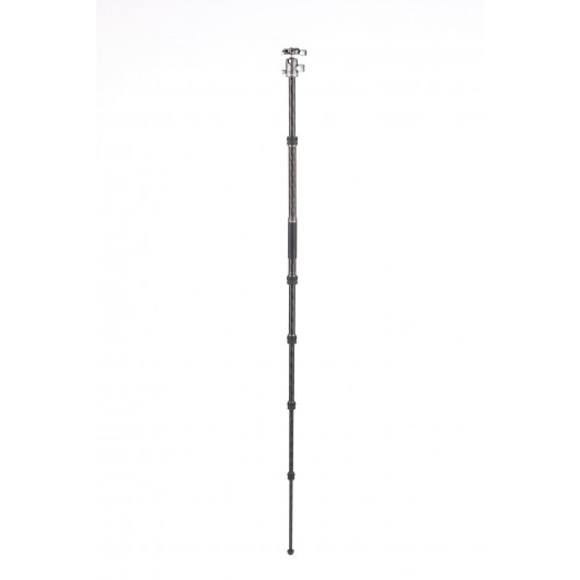 BENRO Bat 15C + VX20 statyw karbonowy z głowicą kulową