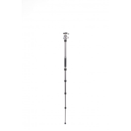 BENRO Bat 05A + VX20 statyw alumniniowy z głowicą kulową