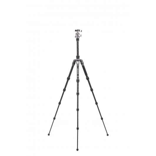 BENRO Rhino 05C + VX20 statyw karbonowy z głowicą kulową