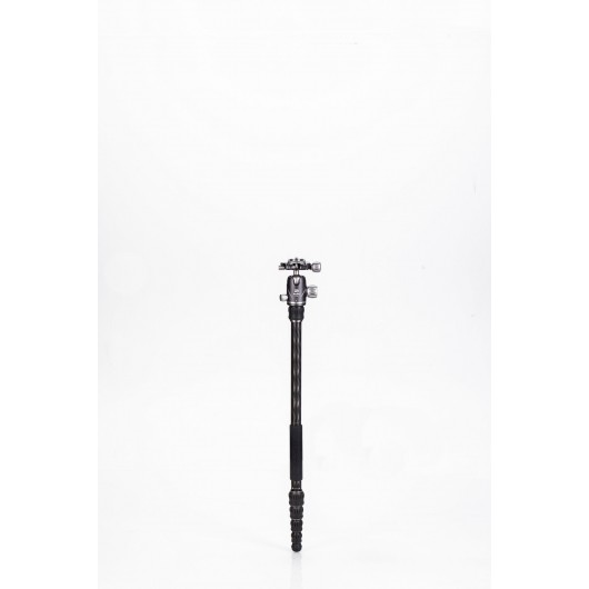 BENRO Rhino 05C + VX20 statyw karbonowy z głowicą kulową