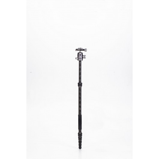 BENRO Rhino 05C + VX20 statyw karbonowy z głowicą kulową